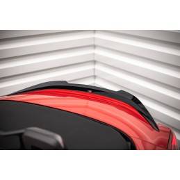 Spoiler Cap BMW Z4 M-Pack /...