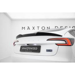 Spoiler Cap 3D Tesla Model...